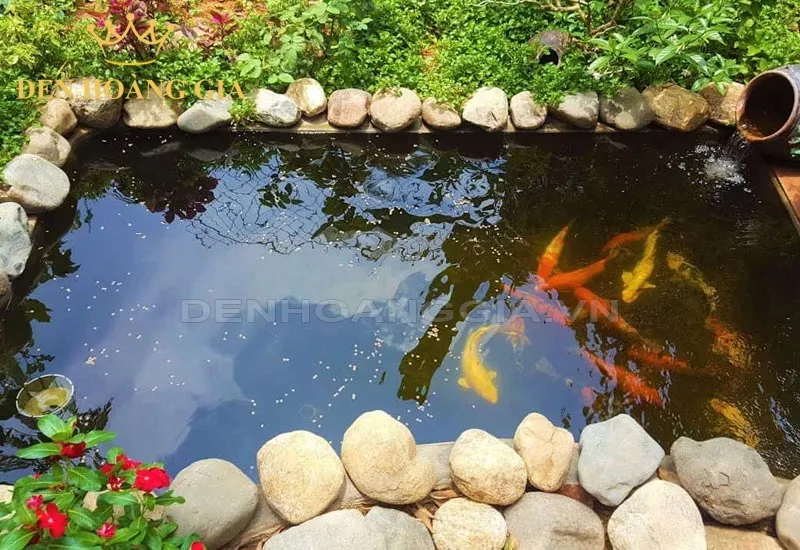 Xây hồ cá ngoài trời hình chữ nhật