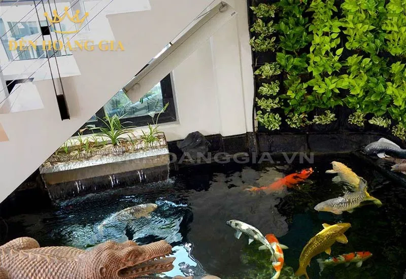 Ý tưởng trang trí hồ cá trong nhà
