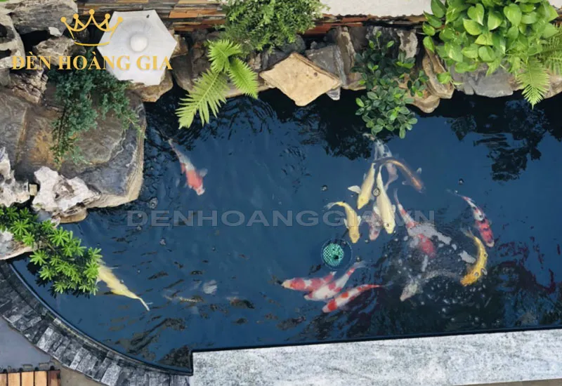 Ý tưởng xây hồ cá xi măng ngoài trời